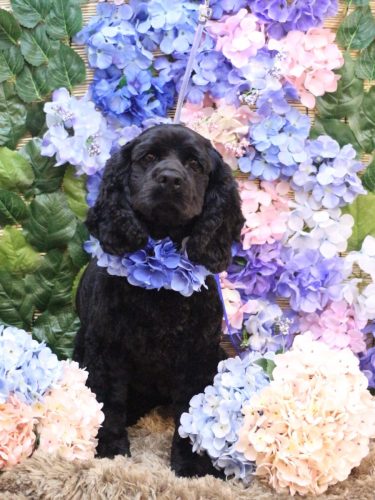 20250605天ちゃん